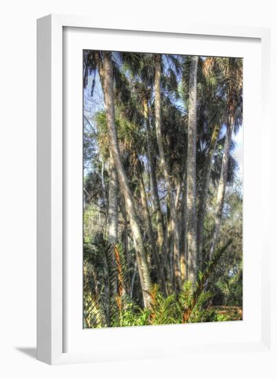 Washington Oaks vertical 2-Robert Goldwitz-Framed Giclee Print