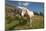 Washington, Okanogan-Wenatchee Nf, Slate Pass. Horses Foraging-Steve Kazlowski-Mounted Photographic Print