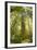 Washington, Olympic Grand Moss Draped Bigleaf Maple-Steve Kazlowski-Framed Photographic Print