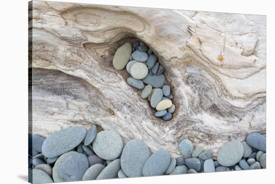 Washington, Olympic National Park. Beach Wood and Pebbles-Jaynes Gallery-Stretched Canvas