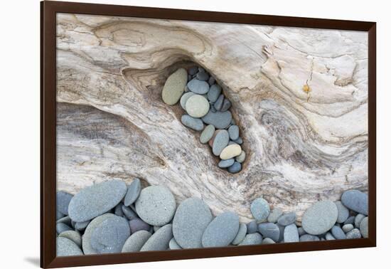 Washington, Olympic National Park. Beach Wood and Pebbles-Jaynes Gallery-Framed Photographic Print