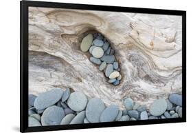 Washington, Olympic National Park. Beach Wood and Pebbles-Jaynes Gallery-Framed Photographic Print