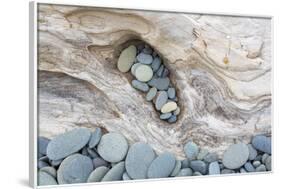 Washington, Olympic National Park. Beach Wood and Pebbles-Jaynes Gallery-Framed Photographic Print