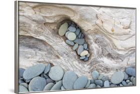 Washington, Olympic National Park. Beach Wood and Pebbles-Jaynes Gallery-Framed Photographic Print