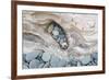 Washington, Olympic National Park. Beach Wood and Pebbles-Jaynes Gallery-Framed Photographic Print