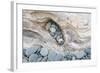 Washington, Olympic National Park. Beach Wood and Pebbles-Jaynes Gallery-Framed Photographic Print