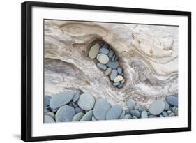 Washington, Olympic National Park. Beach Wood and Pebbles-Jaynes Gallery-Framed Photographic Print