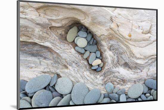 Washington, Olympic National Park. Beach Wood and Pebbles-Jaynes Gallery-Mounted Premium Photographic Print