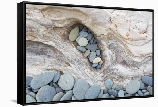 Washington, Olympic National Park. Beach Wood and Pebbles-Jaynes Gallery-Framed Stretched Canvas