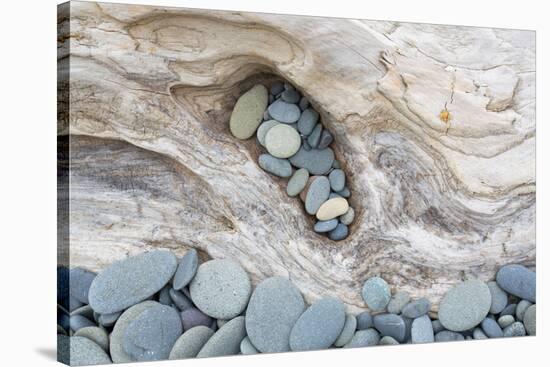 Washington, Olympic National Park. Beach Wood and Pebbles-Jaynes Gallery-Stretched Canvas