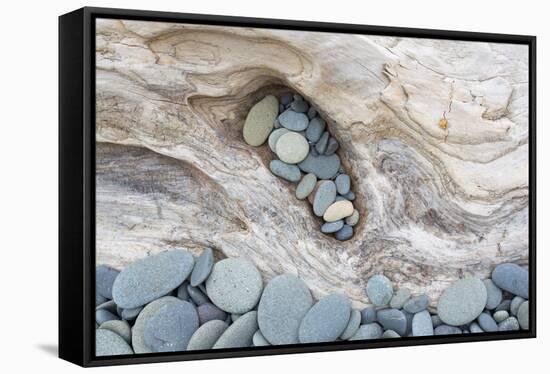 Washington, Olympic National Park. Beach Wood and Pebbles-Jaynes Gallery-Framed Stretched Canvas