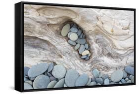 Washington, Olympic National Park. Beach Wood and Pebbles-Jaynes Gallery-Framed Stretched Canvas