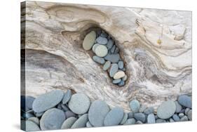 Washington, Olympic National Park. Beach Wood and Pebbles-Jaynes Gallery-Stretched Canvas