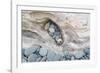 Washington, Olympic National Park. Beach Wood and Pebbles-Jaynes Gallery-Framed Photographic Print