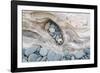 Washington, Olympic National Park. Beach Wood and Pebbles-Jaynes Gallery-Framed Photographic Print