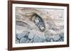 Washington, Olympic National Park. Beach Wood and Pebbles-Jaynes Gallery-Framed Photographic Print