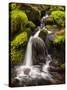 Washington, Olympic National Park, Creek in Sol Duc Valley-Ann Collins-Stretched Canvas