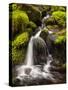 Washington, Olympic National Park, Creek in Sol Duc Valley-Ann Collins-Stretched Canvas