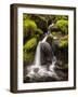 Washington, Olympic National Park, Creek in Sol Duc Valley-Ann Collins-Framed Photographic Print