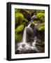 Washington, Olympic National Park, Creek in Sol Duc Valley-Ann Collins-Framed Photographic Print