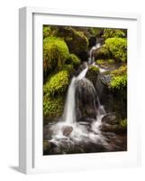 Washington, Olympic National Park, Creek in Sol Duc Valley-Ann Collins-Framed Photographic Print