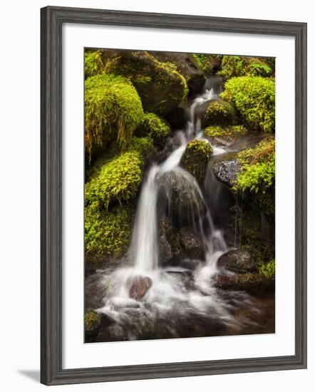 Washington, Olympic National Park, Creek in Sol Duc Valley-Ann Collins-Framed Photographic Print