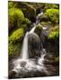 Washington, Olympic National Park, Creek in Sol Duc Valley-Ann Collins-Mounted Photographic Print