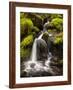 Washington, Olympic National Park, Creek in Sol Duc Valley-Ann Collins-Framed Photographic Print