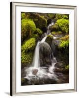 Washington, Olympic National Park, Creek in Sol Duc Valley-Ann Collins-Framed Photographic Print