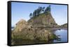 Washington, Olympic National Park, Second Beach, Ochre Sea Stars and Seastack-Jamie And Judy Wild-Framed Stretched Canvas