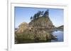 Washington, Olympic National Park, Second Beach, Ochre Sea Stars and Seastack-Jamie And Judy Wild-Framed Photographic Print