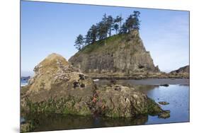 Washington, Olympic National Park, Second Beach, Ochre Sea Stars and Seastack-Jamie And Judy Wild-Mounted Photographic Print