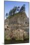 Washington, Olympic National Park, Second Beach, Ochre Sea Stars and Seastack-Jamie And Judy Wild-Mounted Photographic Print