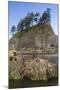 Washington, Olympic National Park, Second Beach, Ochre Sea Stars and Seastack-Jamie And Judy Wild-Mounted Photographic Print