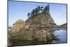 Washington, Olympic National Park, Second Beach, Ochre Sea Stars and Seastack-Jamie And Judy Wild-Mounted Photographic Print