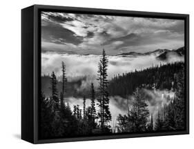 Washington, Olympic National Park. View Northeast from Road to Hurricane Ridge-Ann Collins-Framed Stretched Canvas