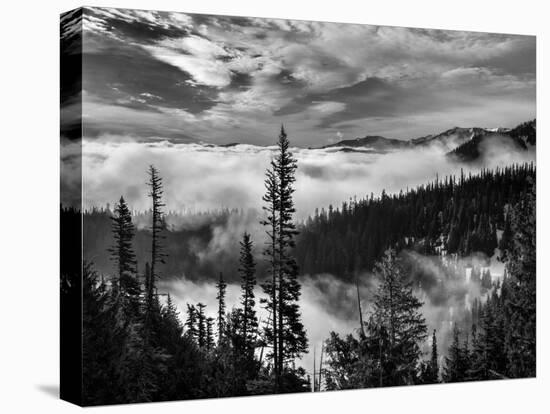Washington, Olympic National Park. View Northeast from Road to Hurricane Ridge-Ann Collins-Stretched Canvas