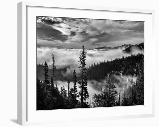 Washington, Olympic National Park. View Northeast from Road to Hurricane Ridge-Ann Collins-Framed Photographic Print