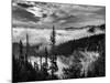 Washington, Olympic National Park. View Northeast from Road to Hurricane Ridge-Ann Collins-Mounted Photographic Print