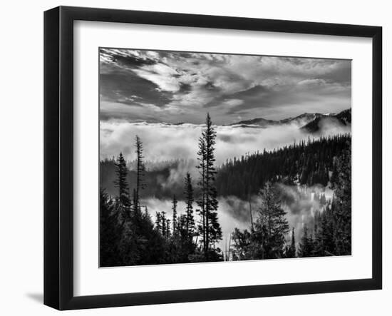 Washington, Olympic National Park. View Northeast from Road to Hurricane Ridge-Ann Collins-Framed Photographic Print