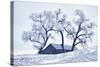 Washington, Palouse, Snow Covered Barn with Old Oak Tree-Terry Eggers-Stretched Canvas