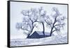 Washington, Palouse, Snow Covered Barn with Old Oak Tree-Terry Eggers-Framed Stretched Canvas