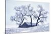 Washington, Palouse, Snow Covered Barn with Old Oak Tree-Terry Eggers-Stretched Canvas