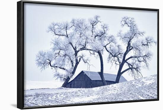 Washington, Palouse, Snow Covered Barn with Old Oak Tree-Terry Eggers-Framed Photographic Print