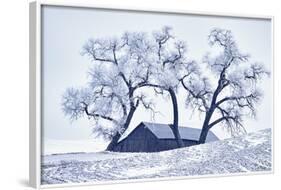 Washington, Palouse, Snow Covered Barn with Old Oak Tree-Terry Eggers-Framed Photographic Print