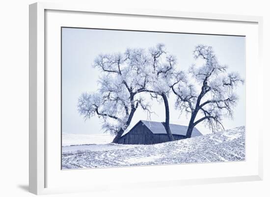 Washington, Palouse, Snow Covered Barn with Old Oak Tree-Terry Eggers-Framed Photographic Print