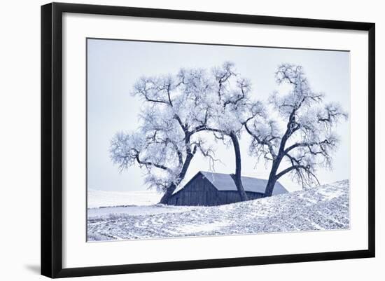 Washington, Palouse, Snow Covered Barn with Old Oak Tree-Terry Eggers-Framed Photographic Print