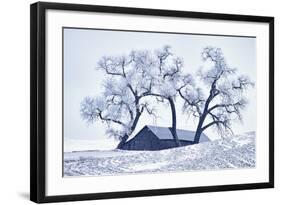 Washington, Palouse, Snow Covered Barn with Old Oak Tree-Terry Eggers-Framed Photographic Print