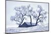 Washington, Palouse, Snow Covered Barn with Old Oak Tree-Terry Eggers-Mounted Photographic Print