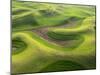 Washington, Palouse, Whitman County. Aerial of Palouse Region-Julie Eggers-Mounted Premium Photographic Print